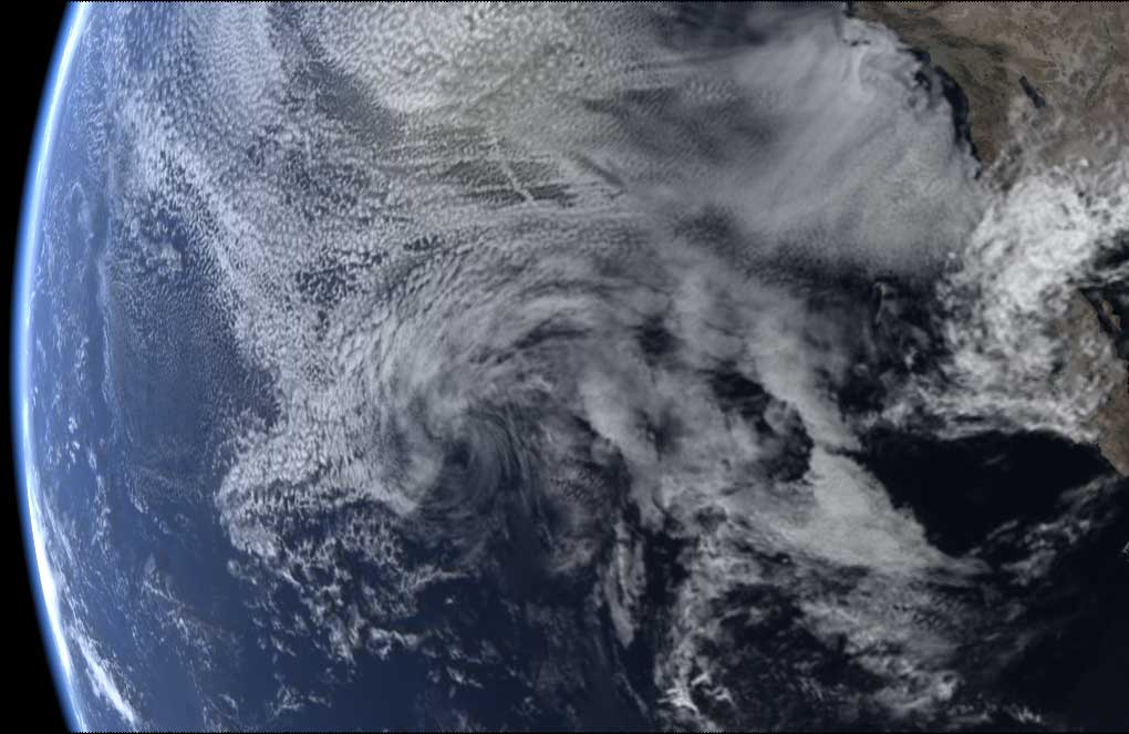 Image courtesy of digi mice GmbH