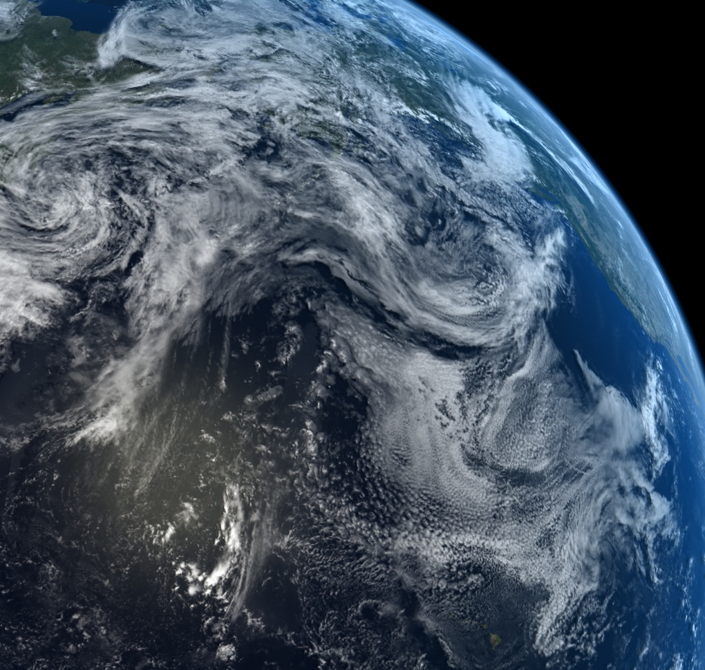 Image courtesy of digi mice GmbH